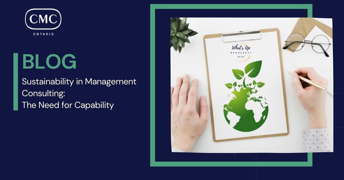 Management Consulting and Sustainability:  The Need for Capability
